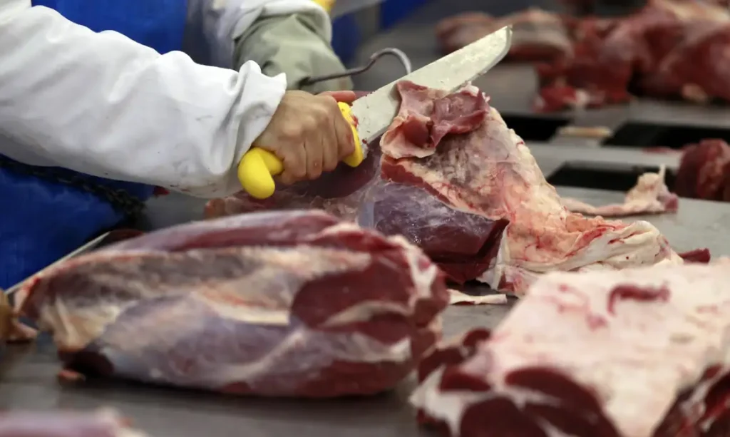 Carne brasileira